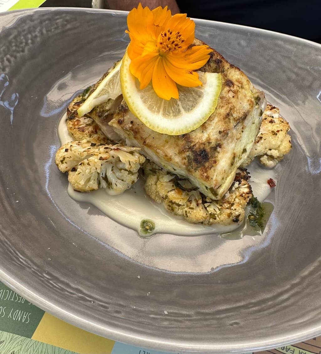 Wander the Organic Farm