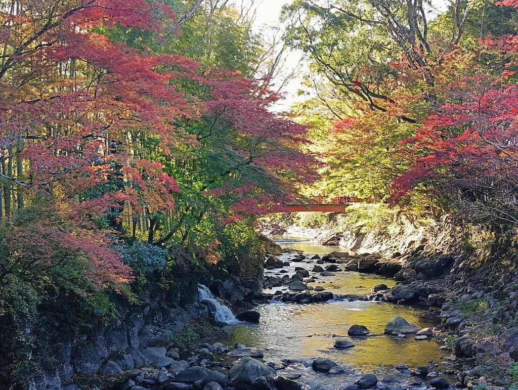 Traditional Ryokan Stay