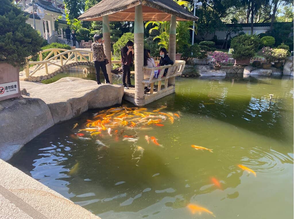 Penzai Garden