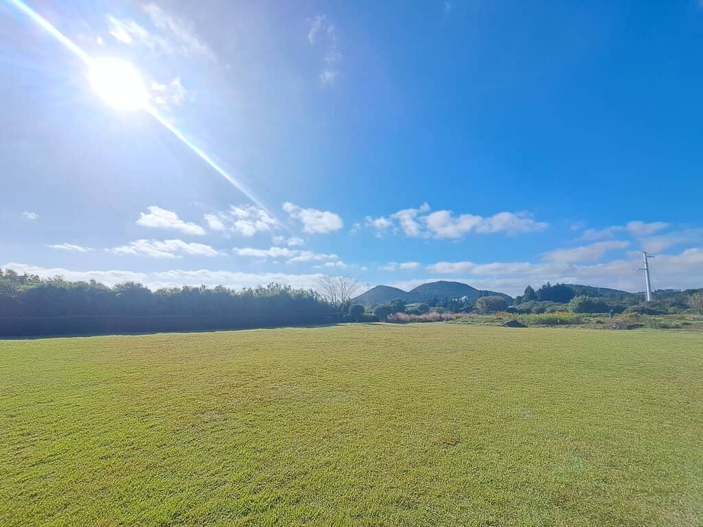 The 'Ark' Architecture