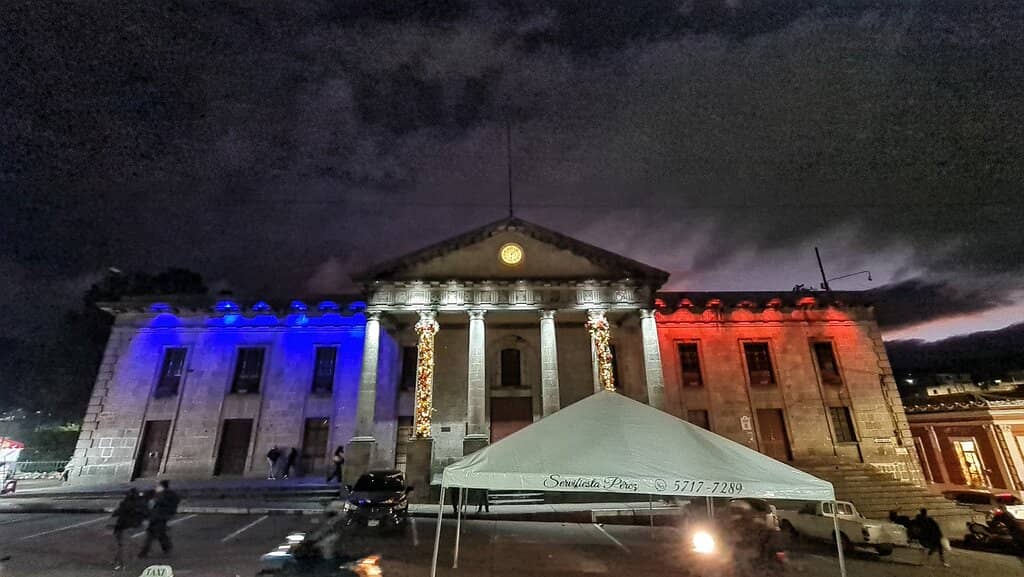 Manicured Sweetgum Trees