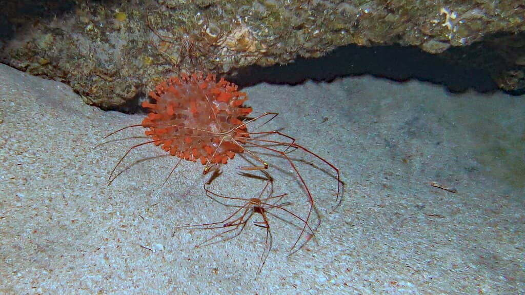 River Lagan Waterfront