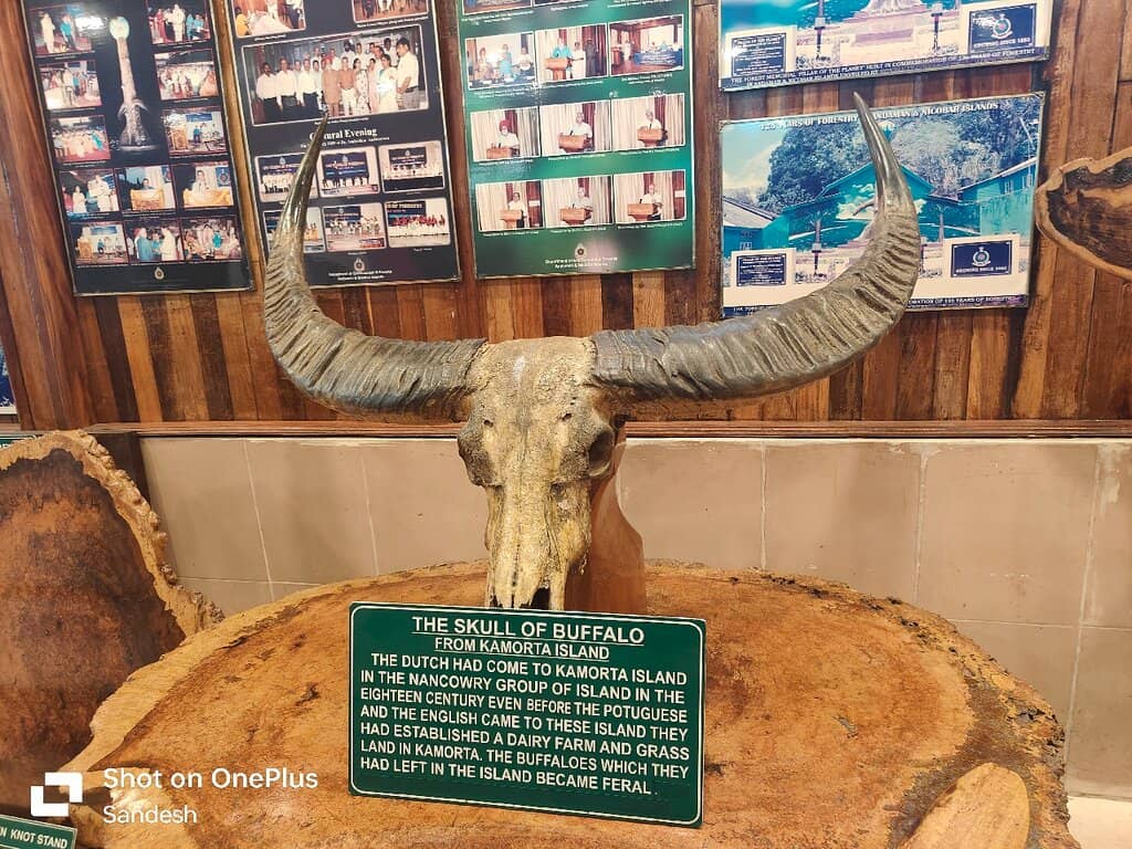 Japanese Bomb Bunker