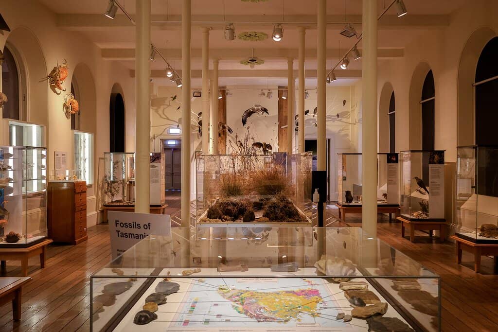 Tasmanian Art Collection