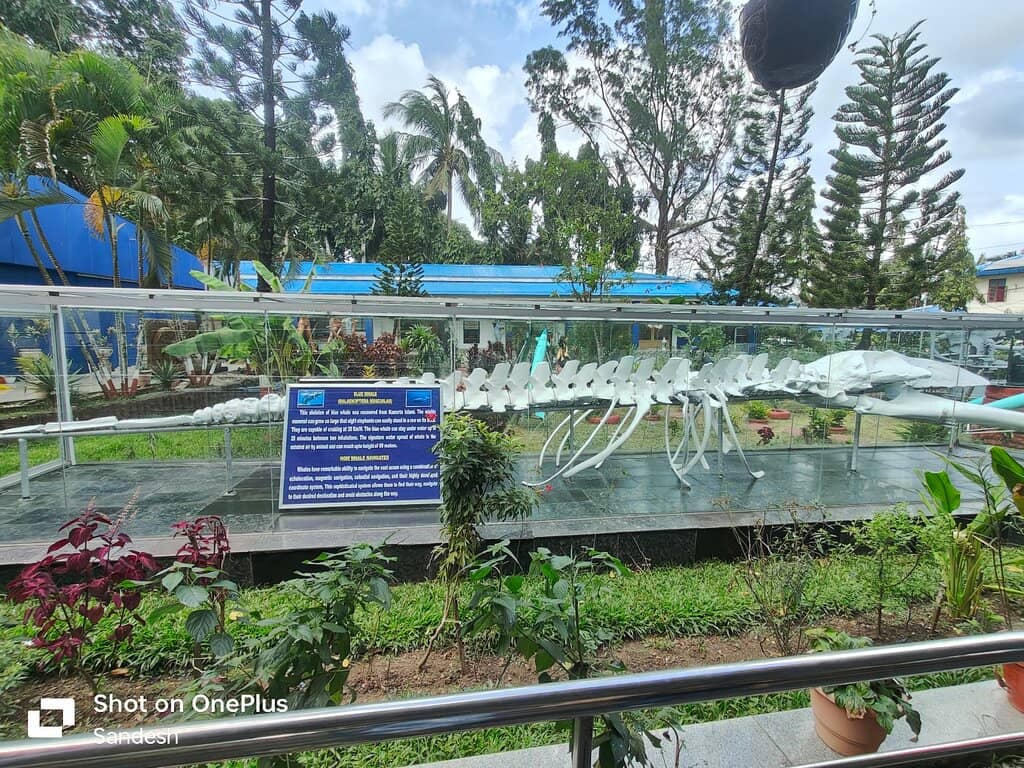 Indian Navy Exhibits