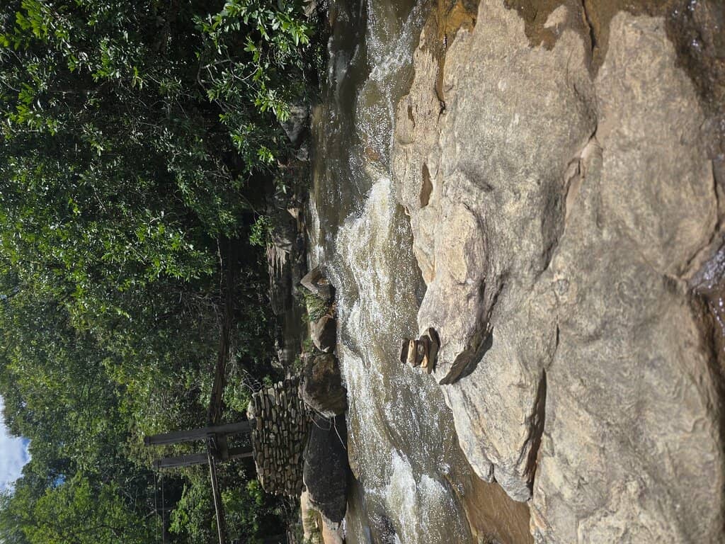 Spider 'Rain' Phenomenon