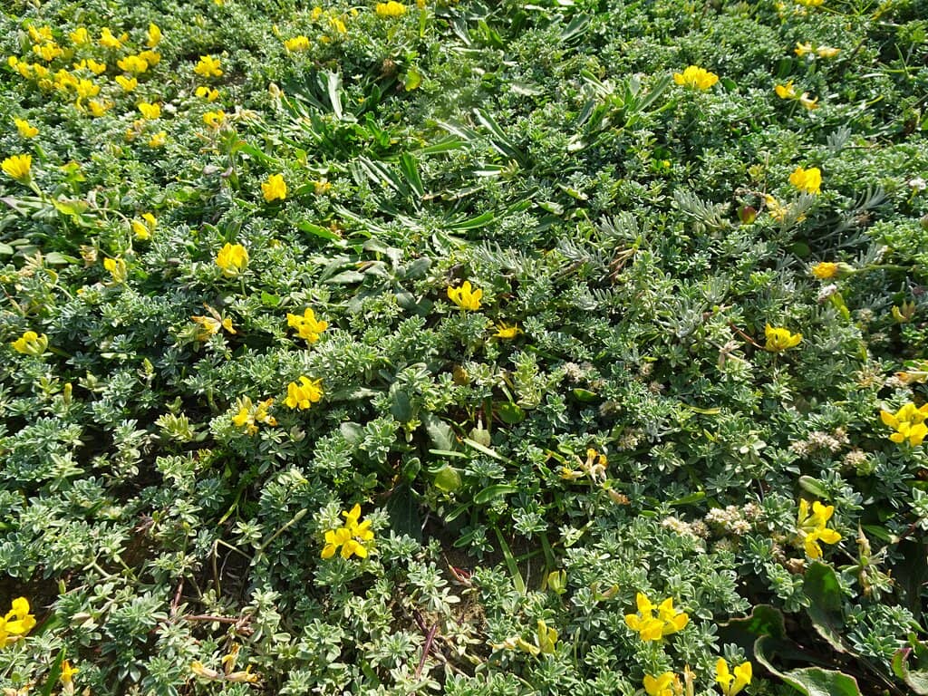 Prainhas do Pontal do Atalaia