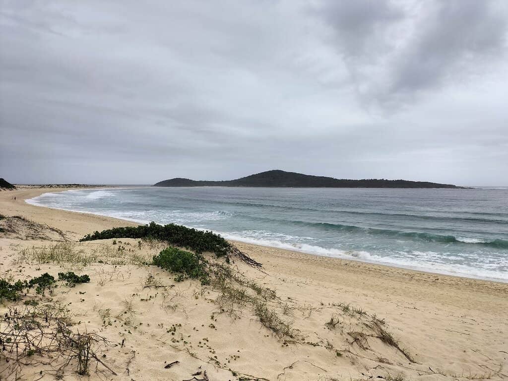 Rockpools and Shells