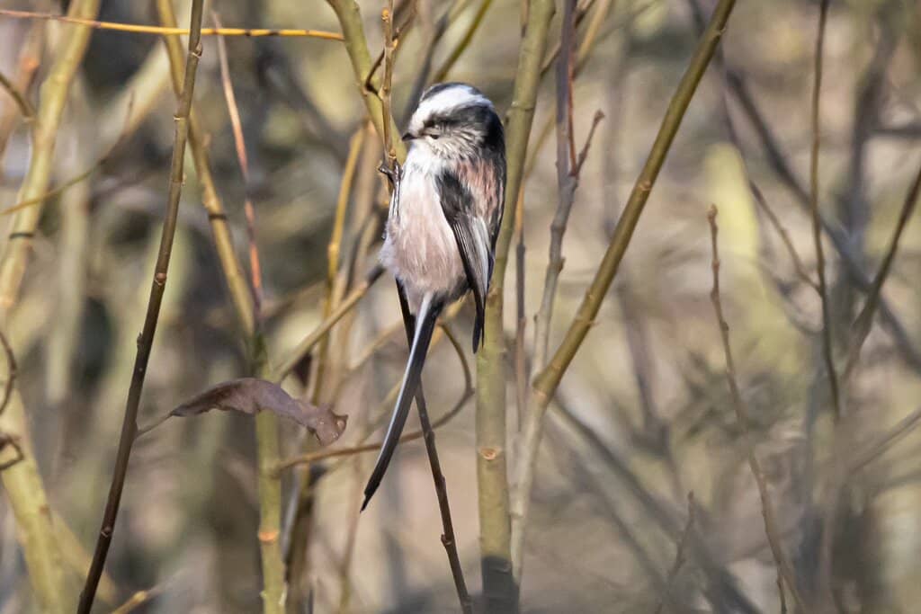 Children's Play Area