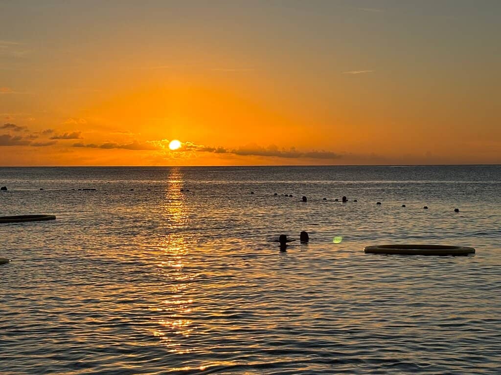 Natural Surroundings