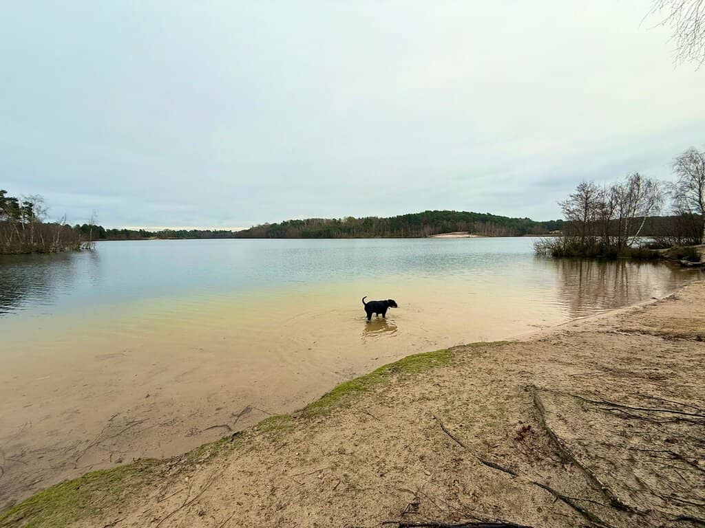 Sandy Beach