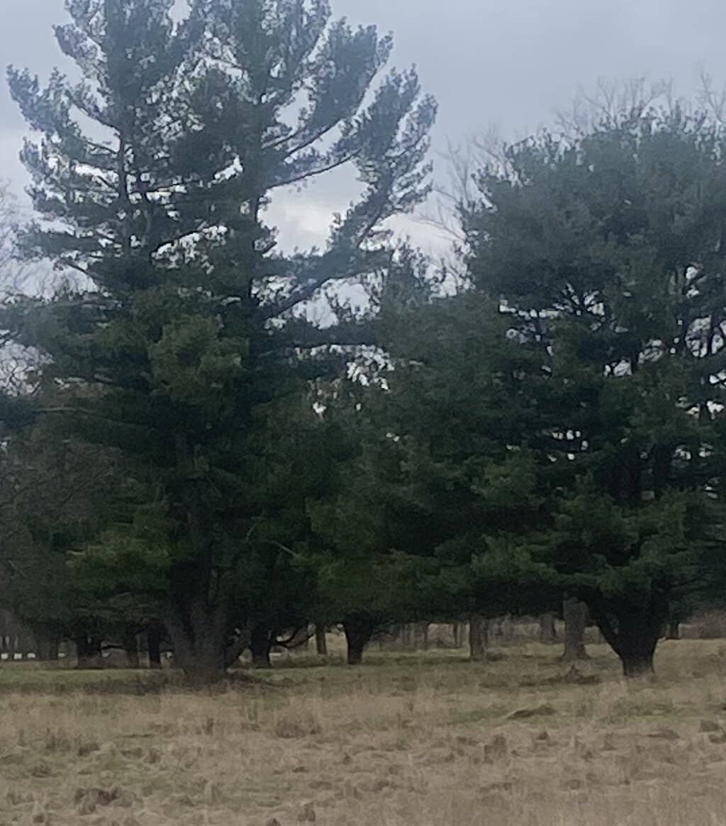 The Great Refractor Telescope