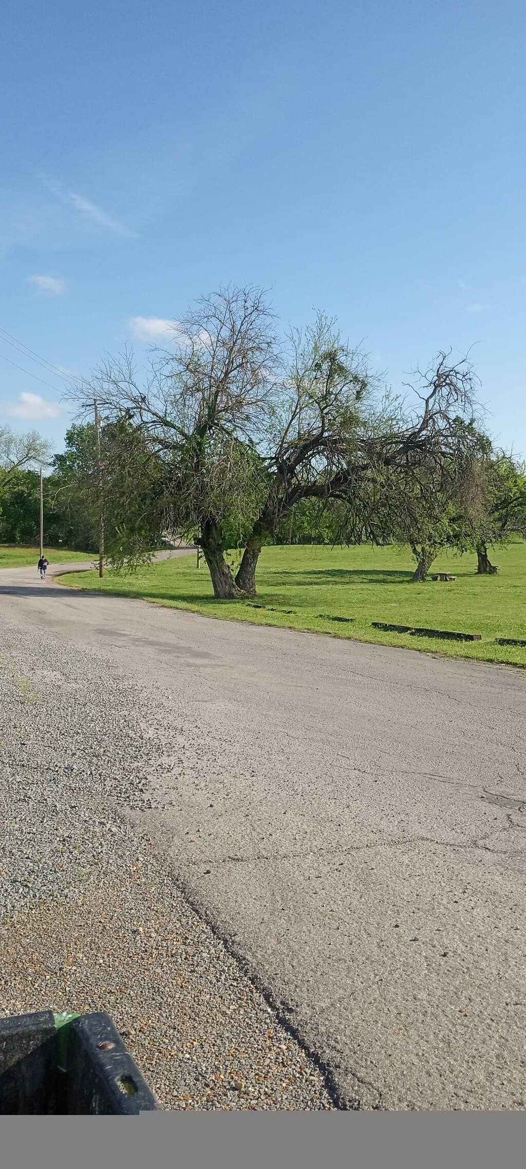 Original Stone Structures