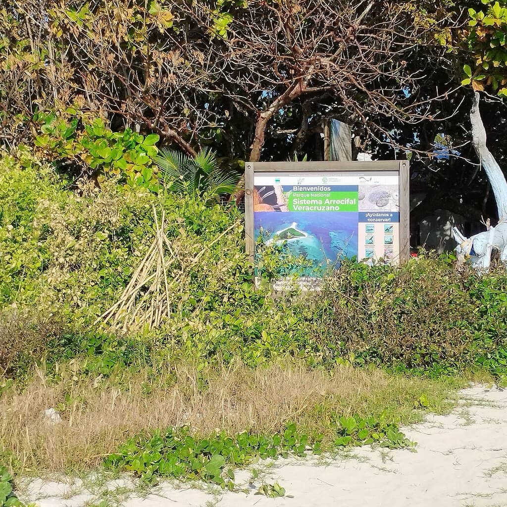 Peaceful Island Escape