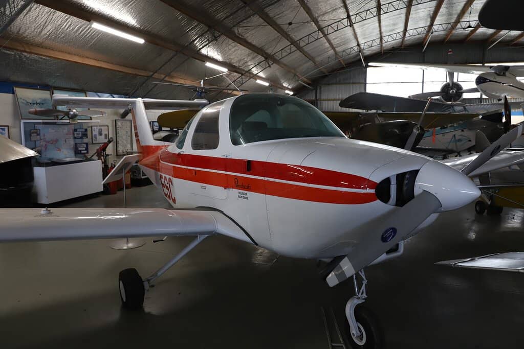 Friendly Volunteer Staff