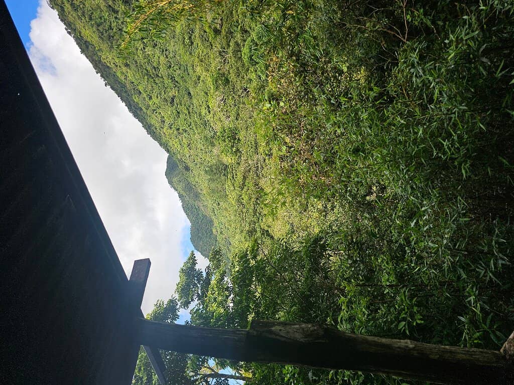 Chorro Macho Waterfall