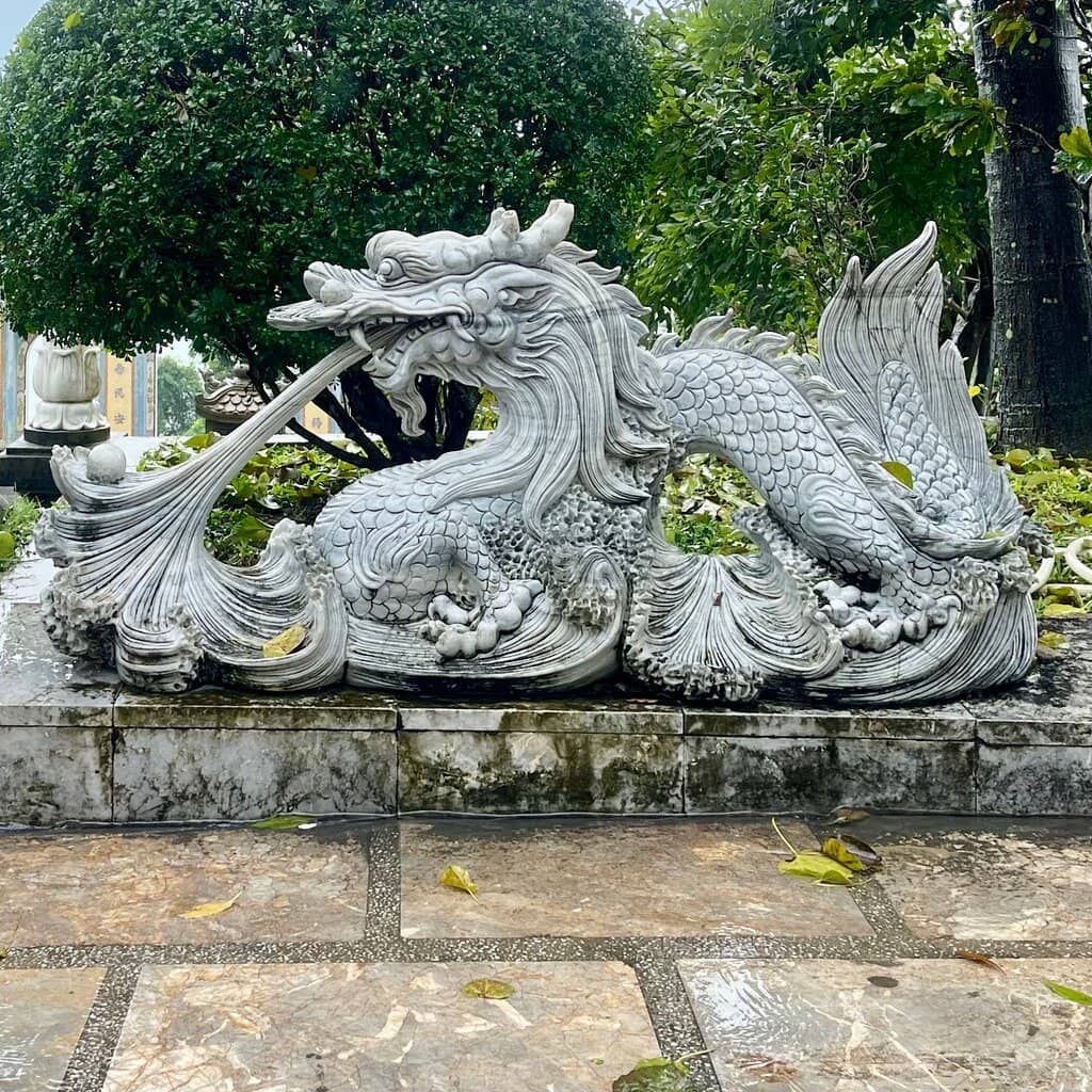 Encounter with Wildlife