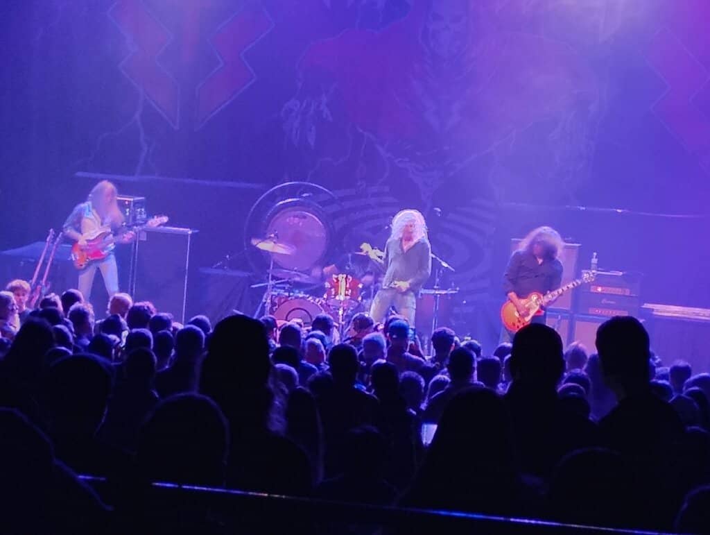 Diverse Live Performances