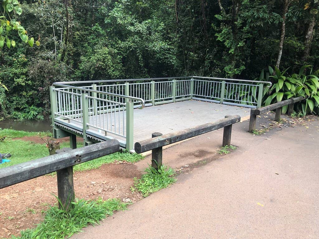 Swim Behind the Curtain