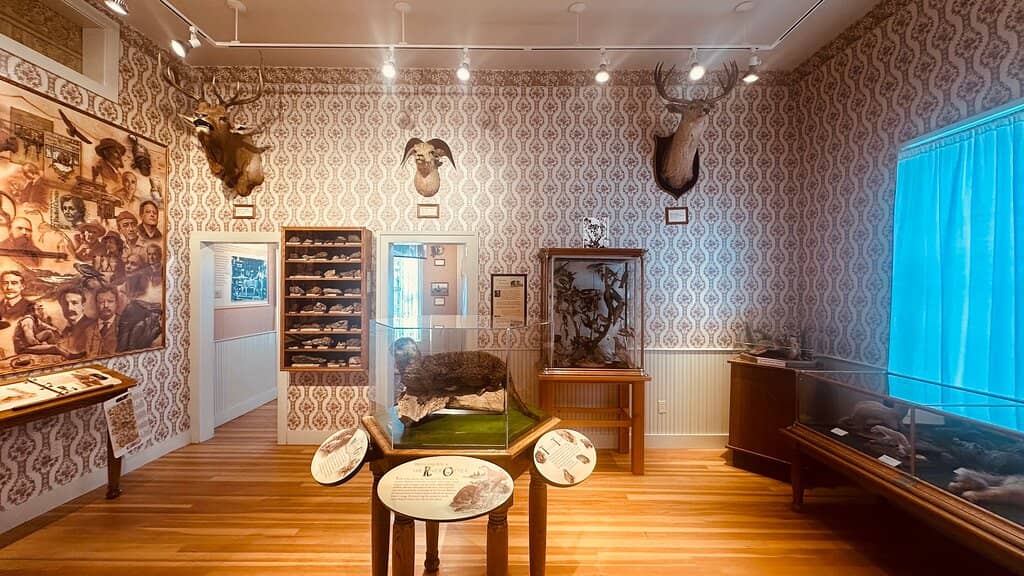 Local Mining History