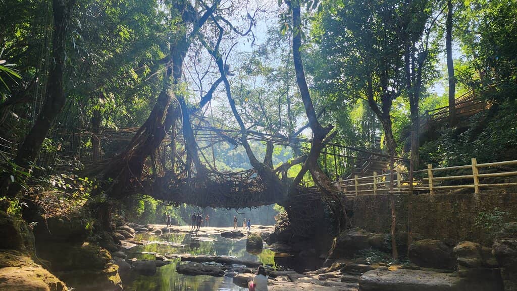 Bangladesh Viewpoint