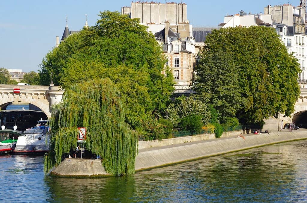 Seine River Views