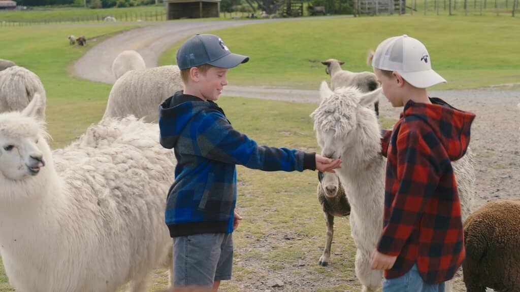 The Agrodome Farm Show