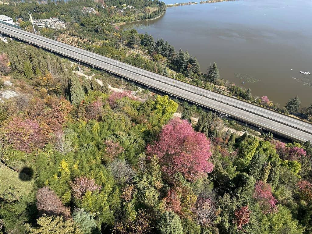 Scenic Cable Car Ride