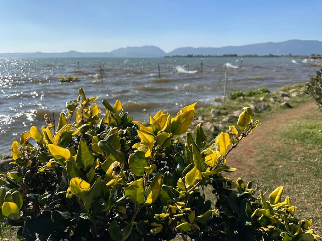 Western Hills Cable Car