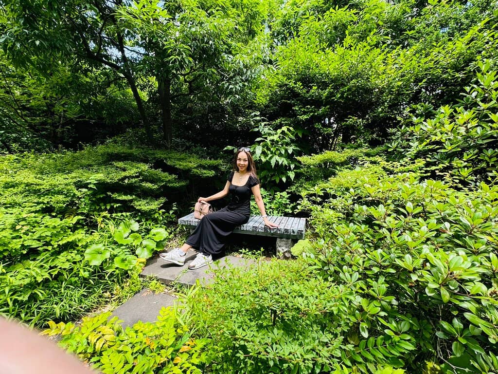 Tranquil Pond and Foliage