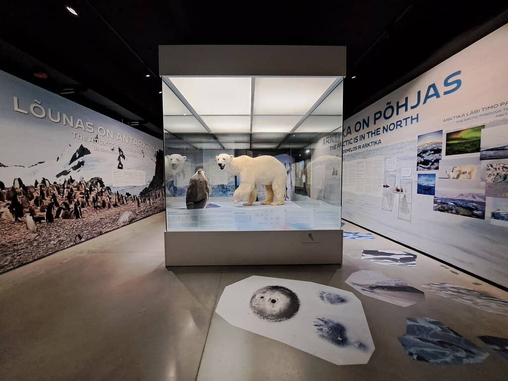 Interactive Exhibits