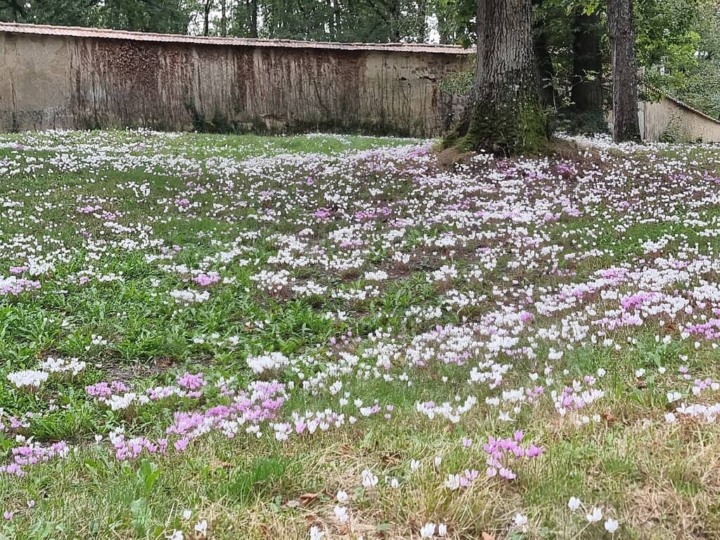 Artistic Masterpieces