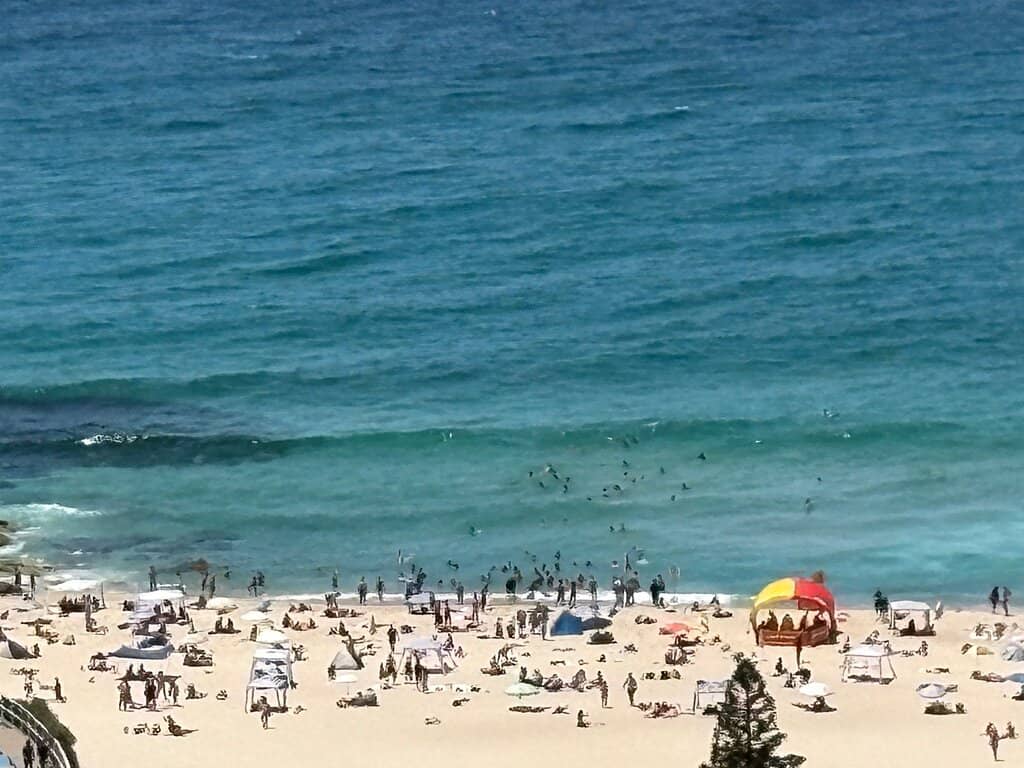 Tamarama Kiosk Delights