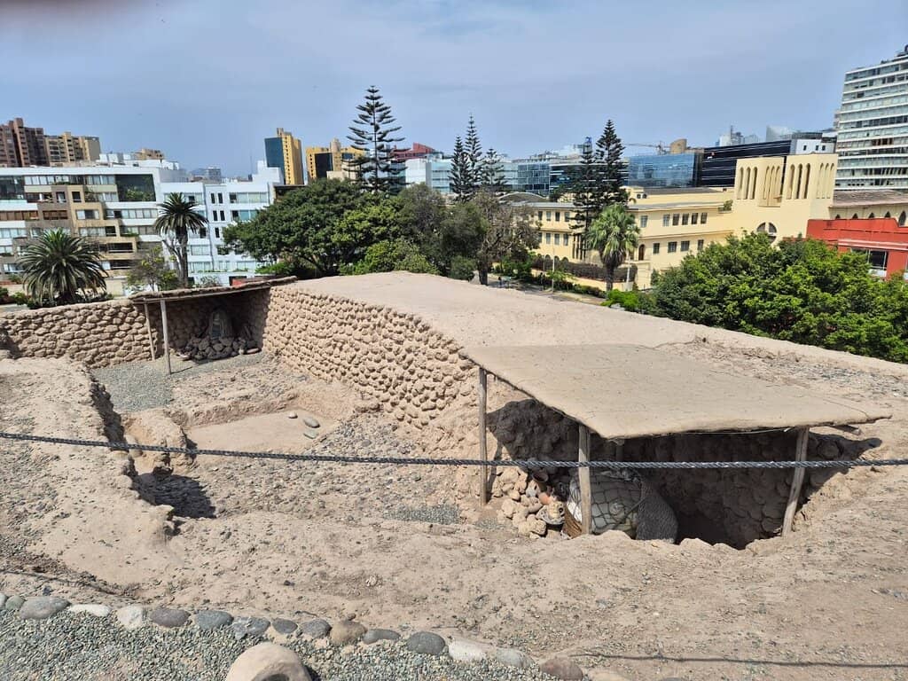 The 'Lady with Long Hair' Mummy