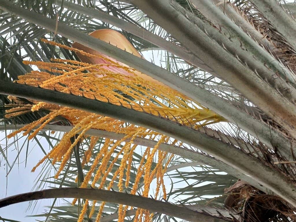 Lee Jung Seop Art Museum & Residence