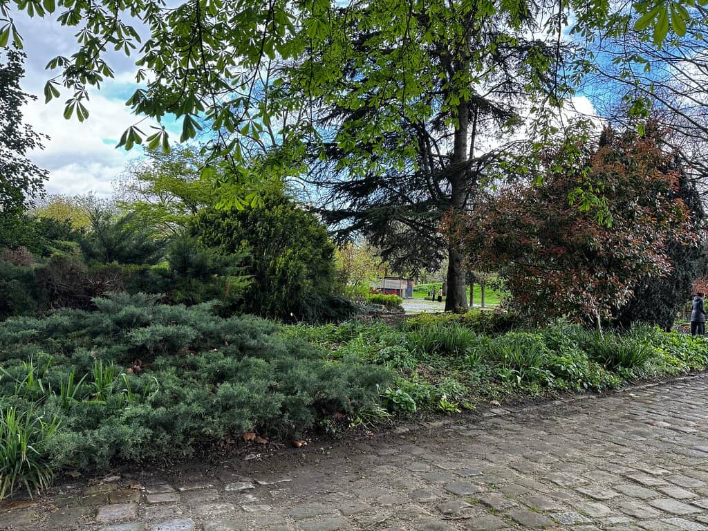 Bel Été Summer Activities