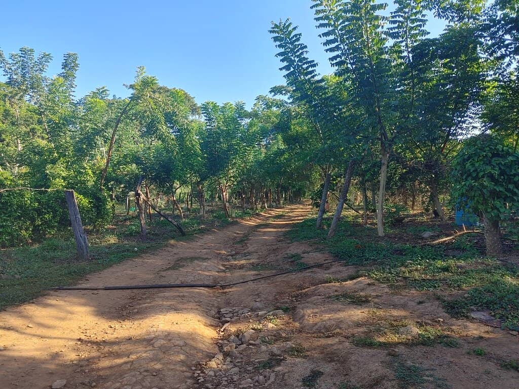 Undiscovered Discoveries