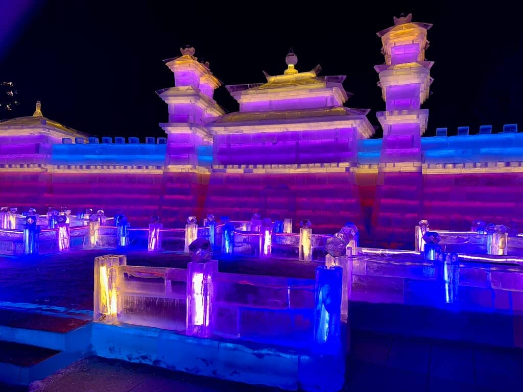 Golden Flower Fields