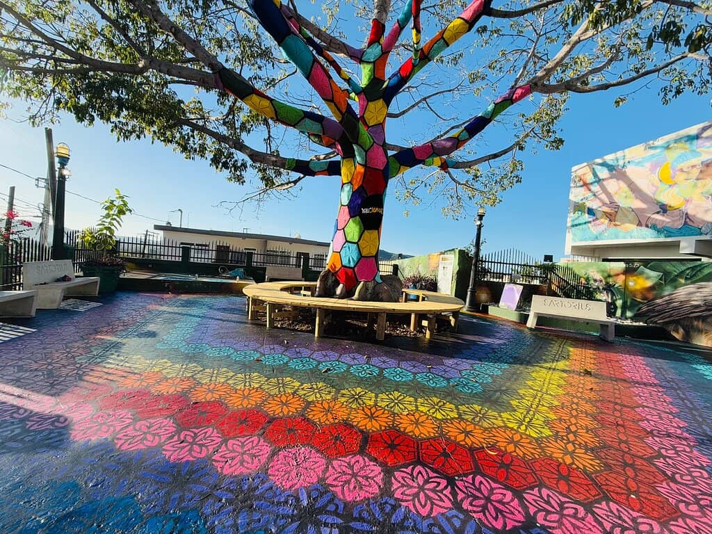 Yarn-Bombed Tree