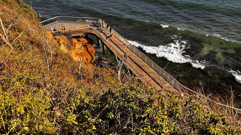 The Haven Connection