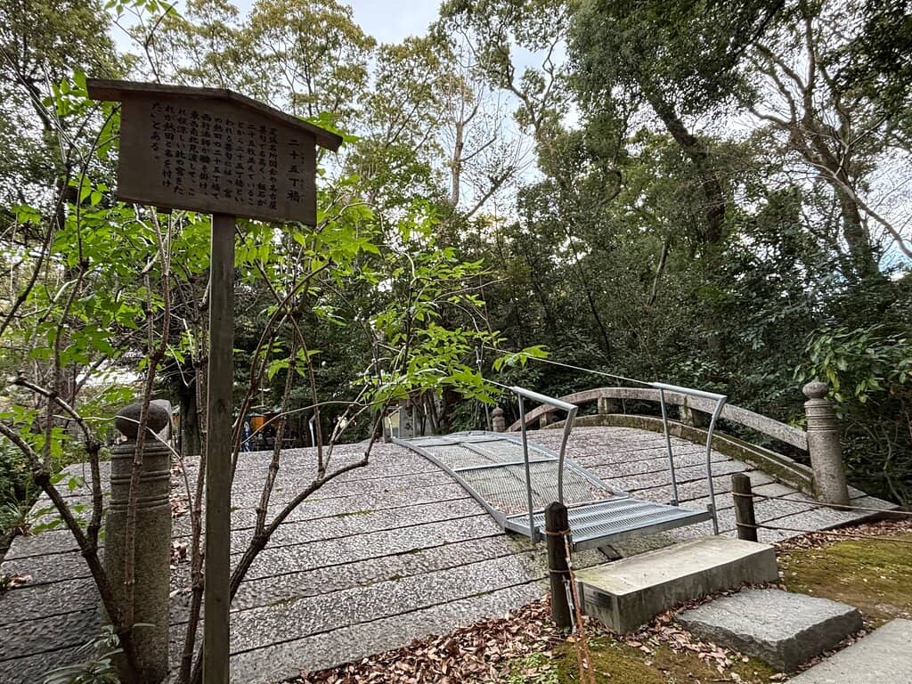 Peaceful Forest Paths