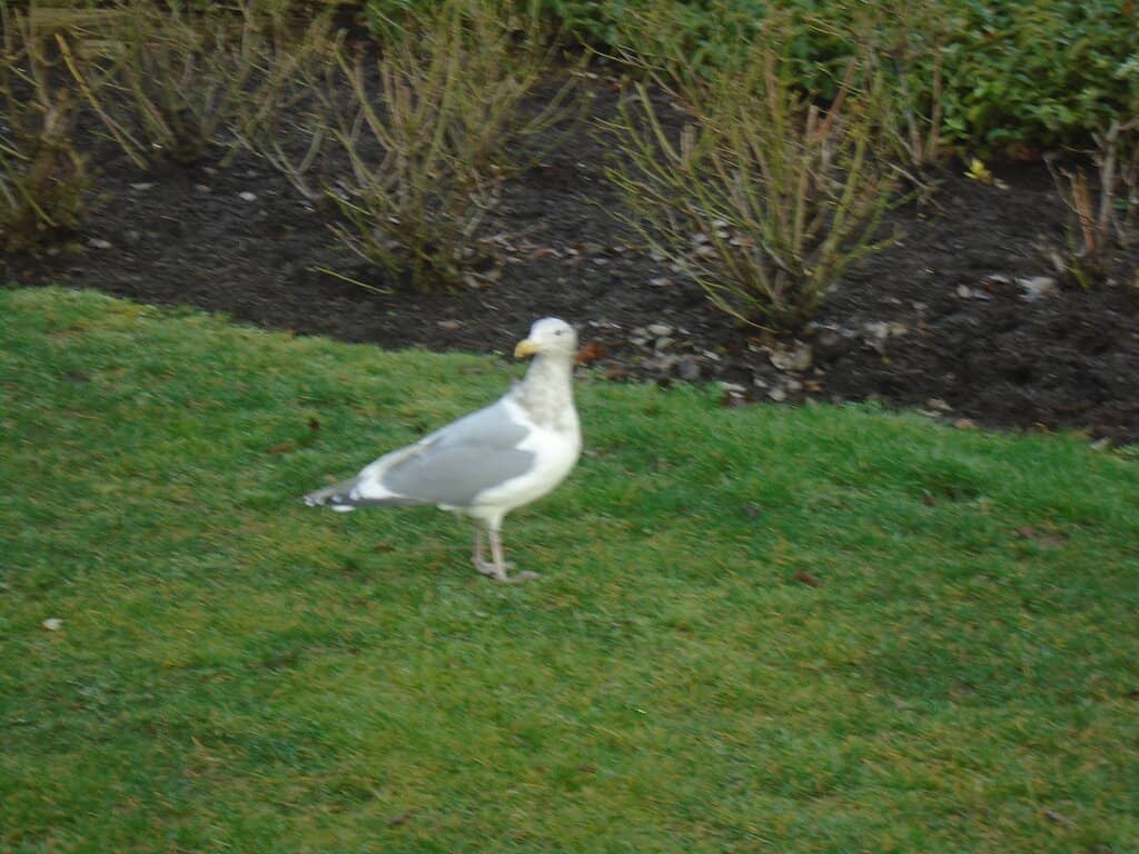 Children's Play Area