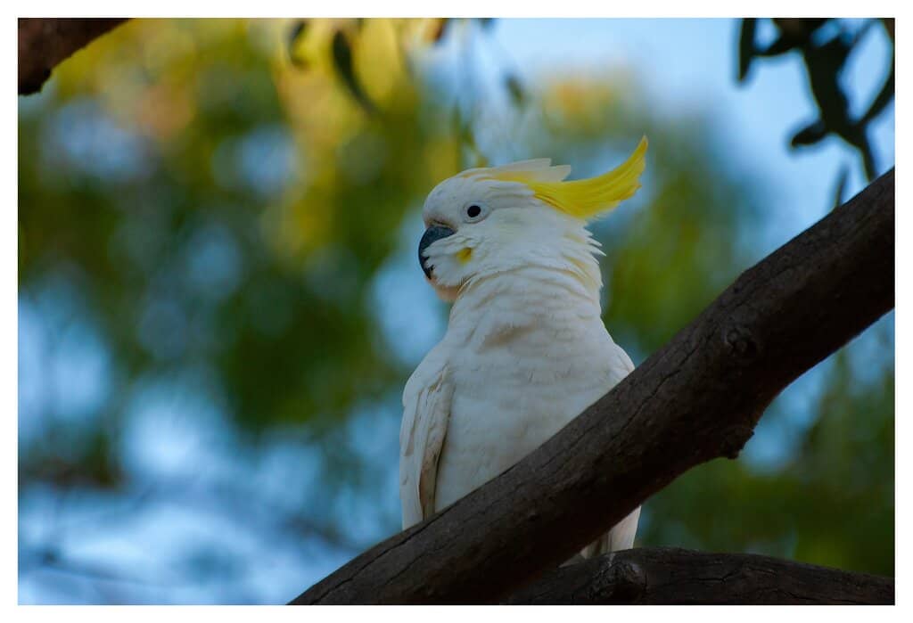 Riverside Walking Trails