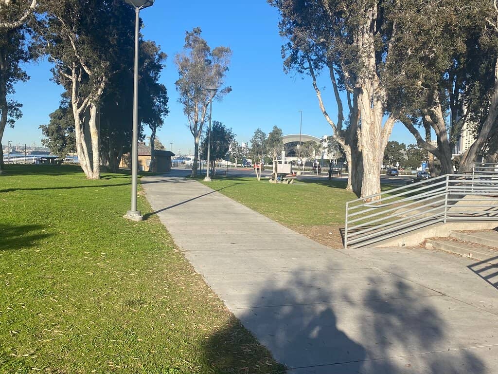 Vibrant Park Atmosphere