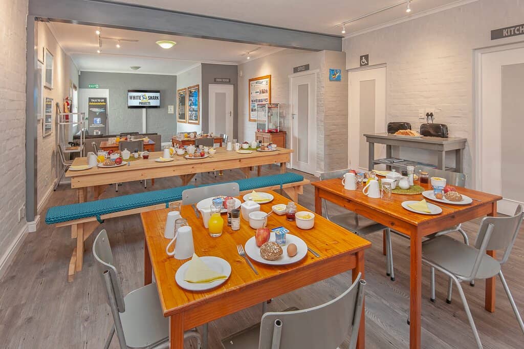 Bronze Whaler Sharks