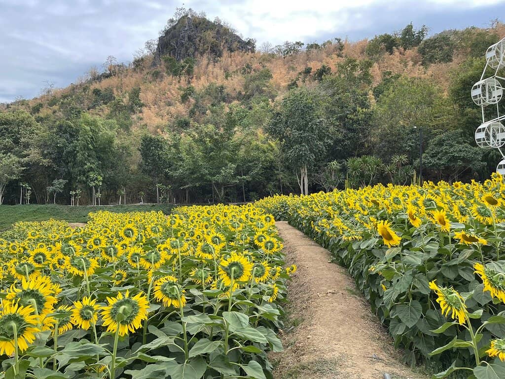 Family-Friendly and Spacious Ambiance