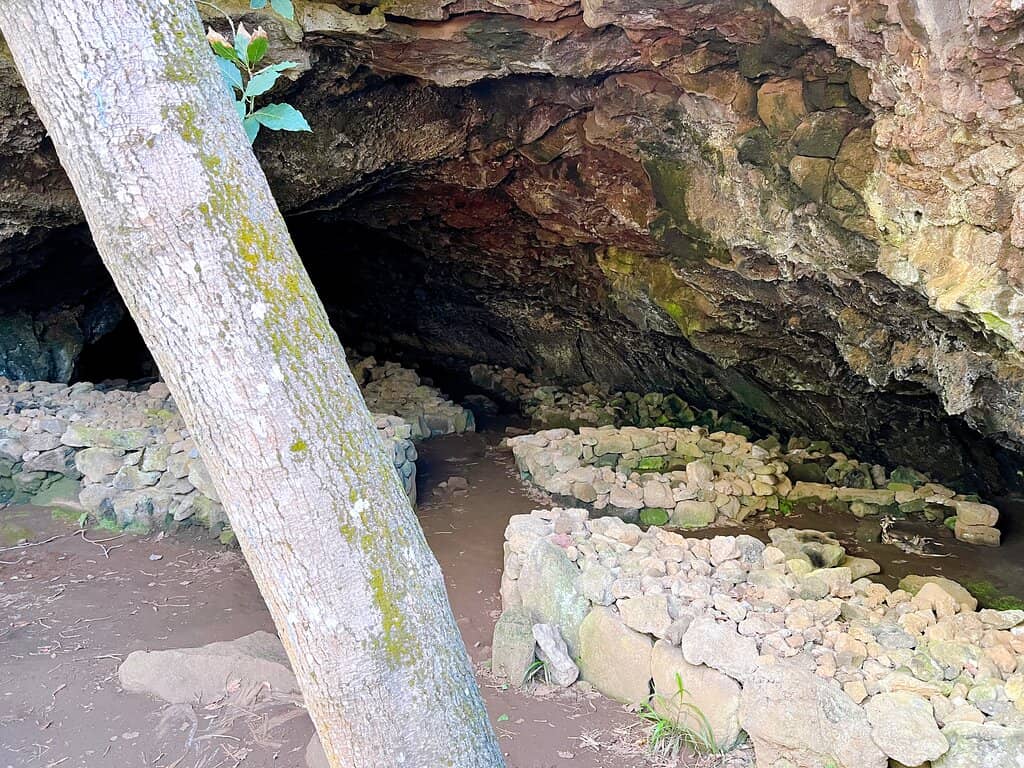 Ancient Underground Farming