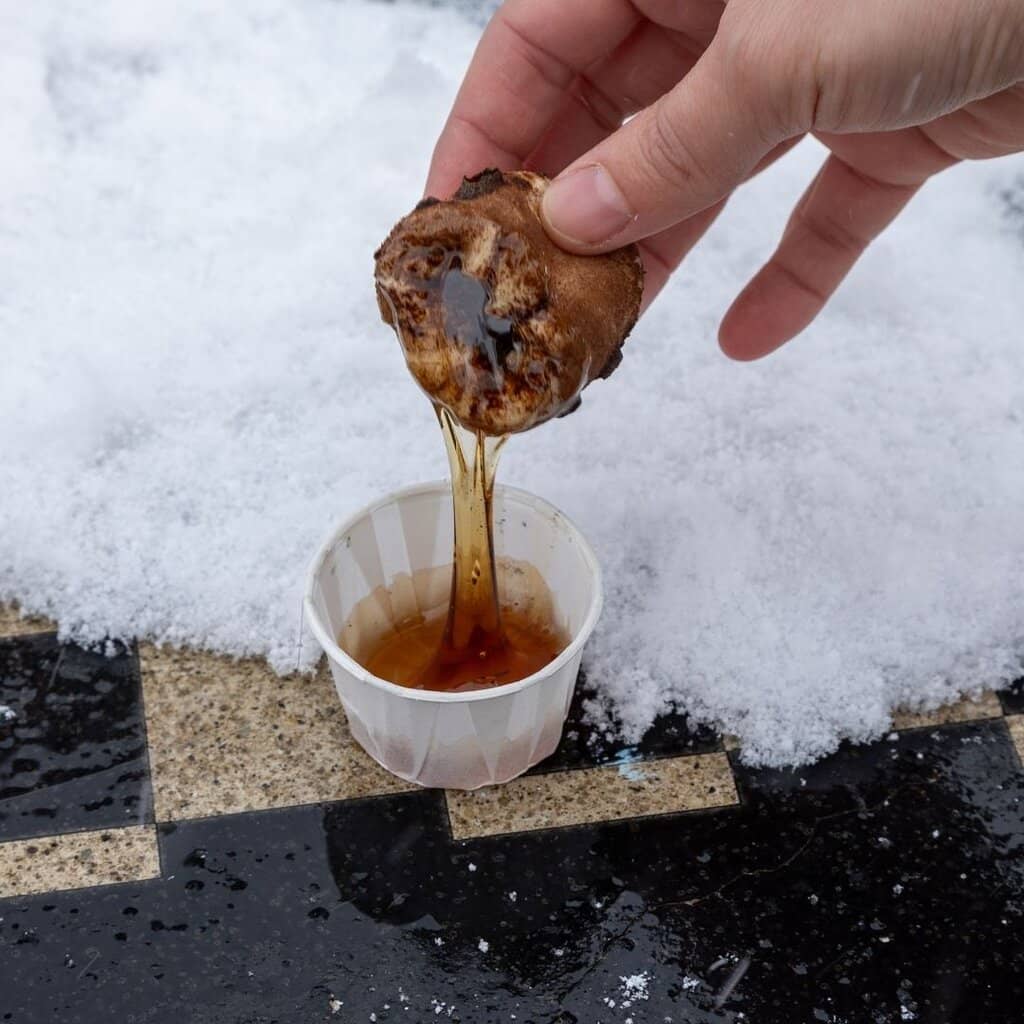 Excavated Shipwreck Museum