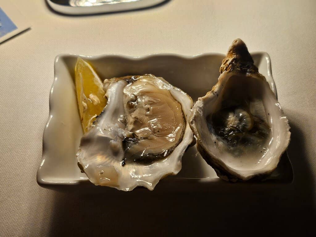 Perfectly Cooked Steak & Apricot Dumplings