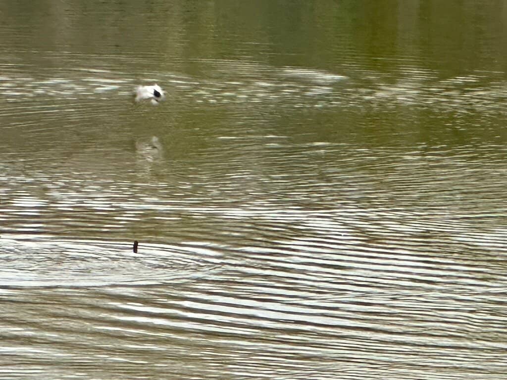 Interactive Nature Exhibition